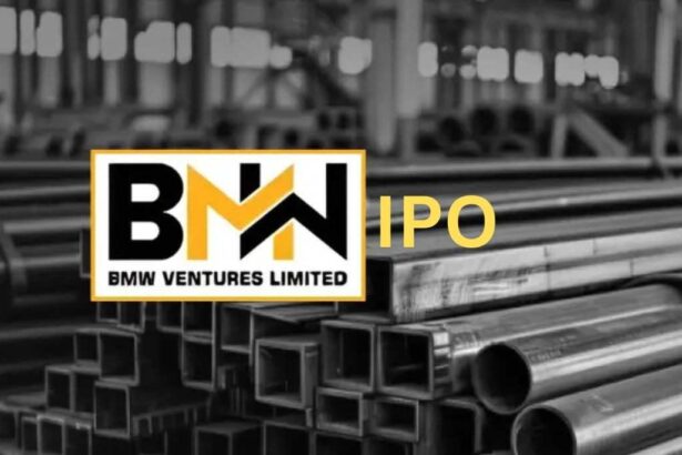 BMW Ventures IPO