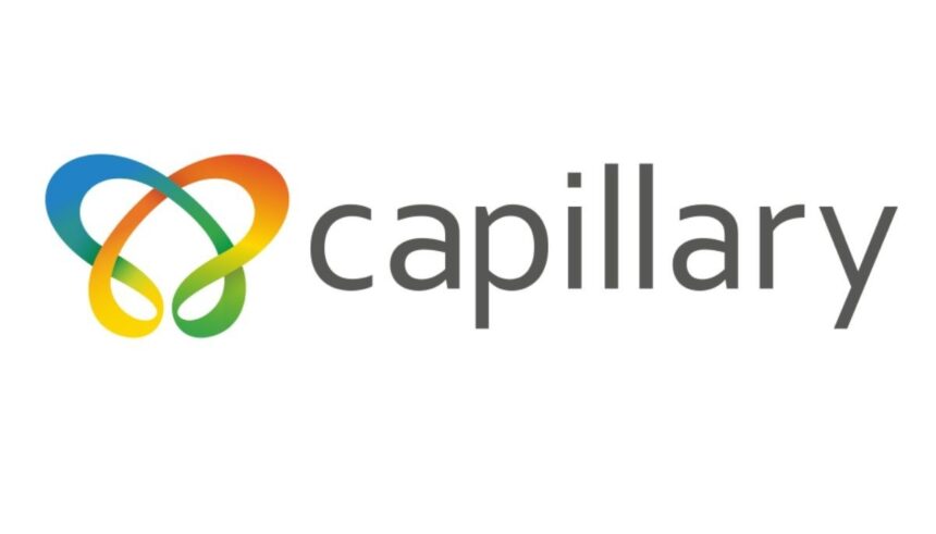 Capillary Technologies India Ltd IPO Details 2025 – Price Band, Dates, Lot Size, and Company Financials
