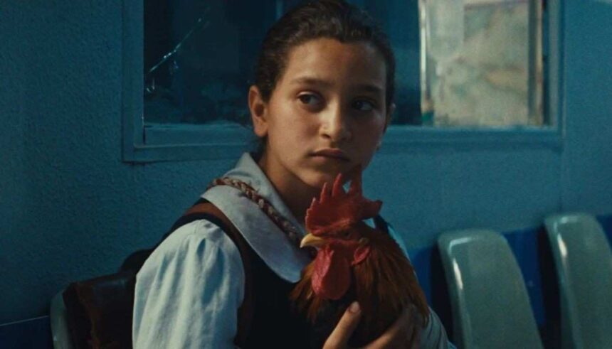 ‘द प्रेसिडेंट्स केक’ फिल्म का दृश्य जिसमें एक बच्ची युद्धग्रस्त इराक में केक बनाने की कोशिश कर रही है।