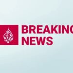 IEA strategic oil reserves release global energy crisis