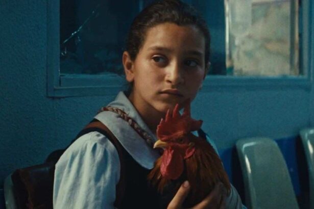 ‘द प्रेसिडेंट्स केक’ फिल्म का दृश्य जिसमें एक बच्ची युद्धग्रस्त इराक में केक बनाने की कोशिश कर रही है।