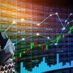 Dolly Khanna investment portfolio showing Sharda Cropchem and Chennai Petroleum stocks