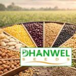 Dhanwel Hybrid Seeds IPO Review Hindi, Price Band, Lot Size, Financial Analysis and Investment Review