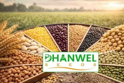 Dhanwel Hybrid Seeds IPO Review Hindi, Price Band, Lot Size, Financial Analysis and Investment Review